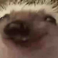 Moi (^^)