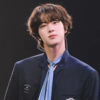 jeon seokjin