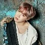 Hobi