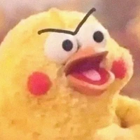 Angry Chick 눈‸눈