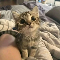 แอด👁️👄👁️