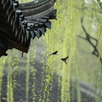 Unknown ~