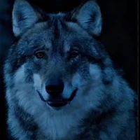Elias (Lobo)