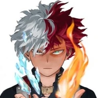 shoto Todoroki