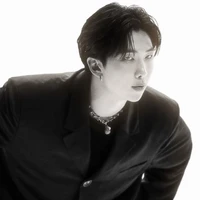 Kim namjoon(alfa lúpus)