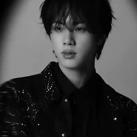 Kim seokjin(ômega)