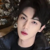 ก๊อต:แพนเทอร์