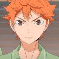 Shoyo Hinata [ Secundaria ]