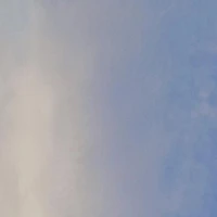 ALL