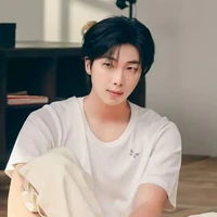 kim namjoon/V