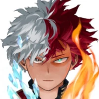 shoto todoroki