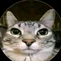 yo
