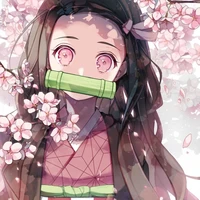Nezuko 💕