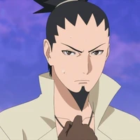 Nara Shikamaru 32 y.o