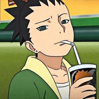 Nara Shikadai