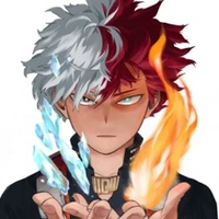 Shoto Todoroki 