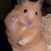 ???