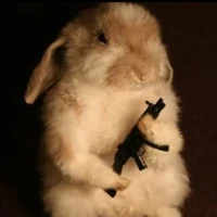 Dangerous Bunny