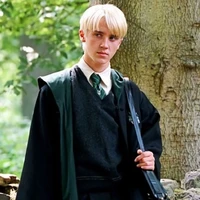 Draco M