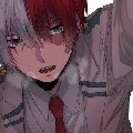Shoto Todoroki
