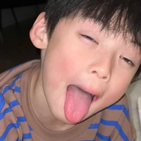 ไลก้า