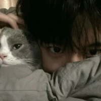 กัสต้า (น.อ)
