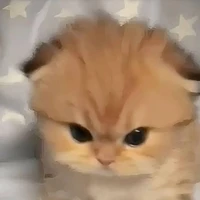 Autora