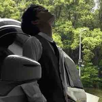 หยางหยาง