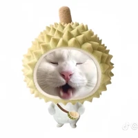 แอดเองงง