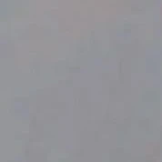 จิตฤดี