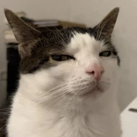 แอดค่าา