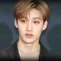 Bang Chan 