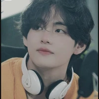 Kim Taehyung (Rare Dominant omega) MC