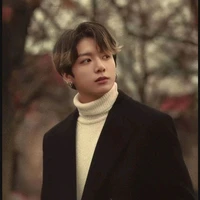 Joen Jungkook( pure blood moon Alpha)ML