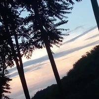 แอดเองคะ ติ๊กต๊อก:𝓜𝓮𝓮𝓷𝓪👾💐