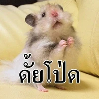 แอดอยากเป็น"เกย์"😘