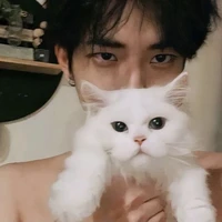 ฟีฟ่าง