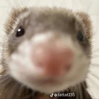ทุกคน
