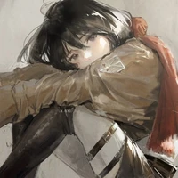 Mikasa ackeman
