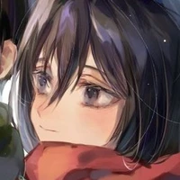 mikasa