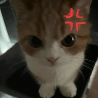เเอดคับบบบบบ