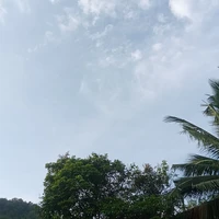 ไม่ระบุ