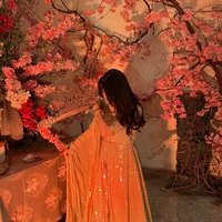 Ritika Malhotra ( ML assistant)