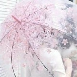 ซากุระ