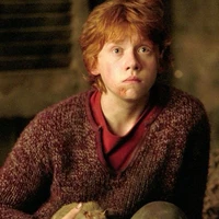 Ron (O.P)