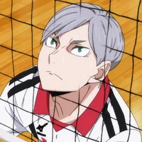Lev Haiba
