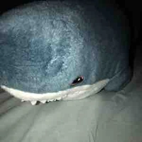 Sharklo 