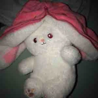 Lapin fraise 