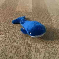 Baleine 