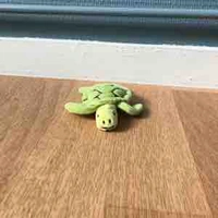 Tortue 